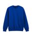 Unisex Adult Hammer Maxweight Crew Neck Sweatshirt Deep Royal Blue Gildan-2