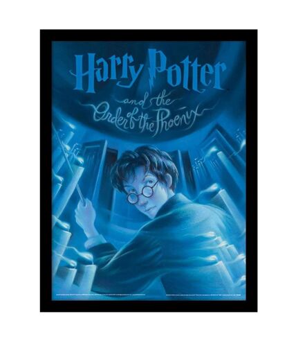 Harry Potter And The Order Of Phoenix - Imprimé (Bleu) (40 cm x 30 cm) - UTPM7906