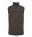 Doudoune sans manches - Homme - IB6172 - gris foncé-1
