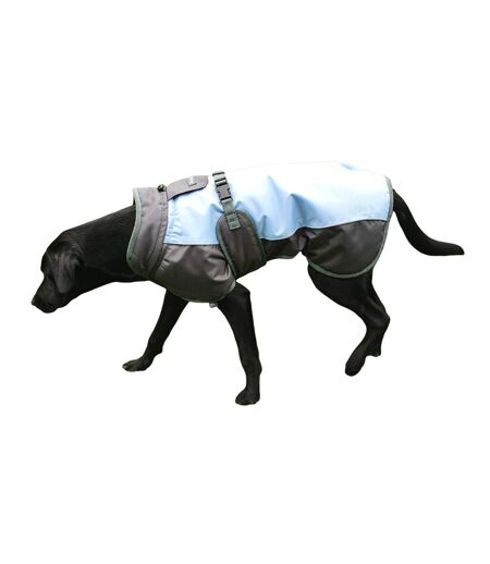 Henry Wag - Manteau pour chiens (Bleu / Gris) (Extra Small) - UTTL5227