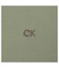 Mens Embroidered Collared Short-sleeved Polo Shirt Sage Calvin Klein-4