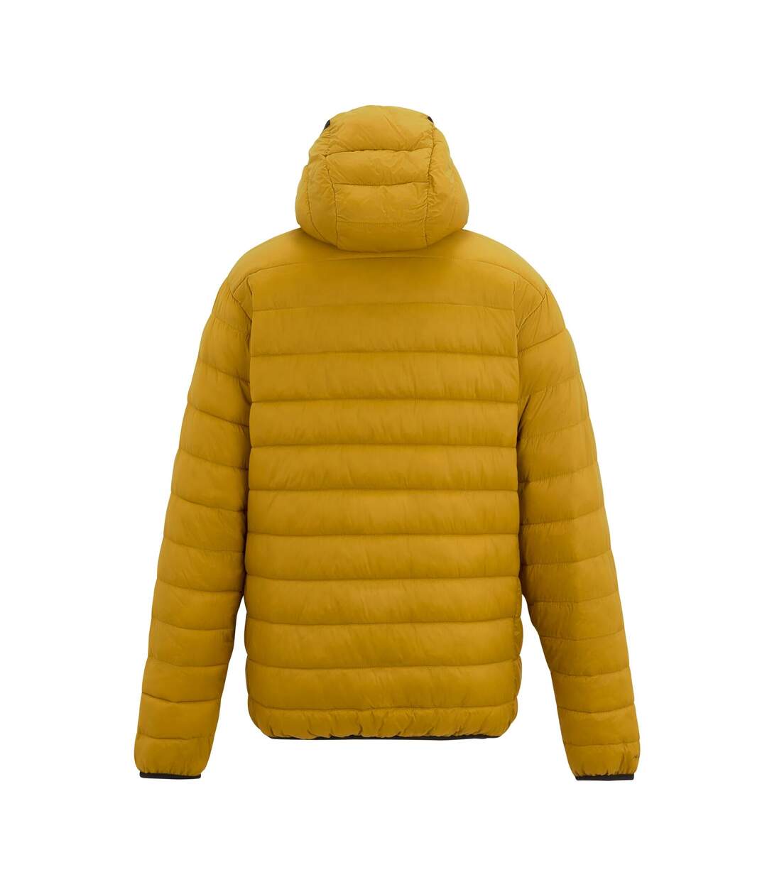 Doudoune Matelassée Marizion Homme Jaune Sombre Regatta-2