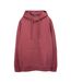 Sweat à capuche bordeaux homme teddy smith nark-1
