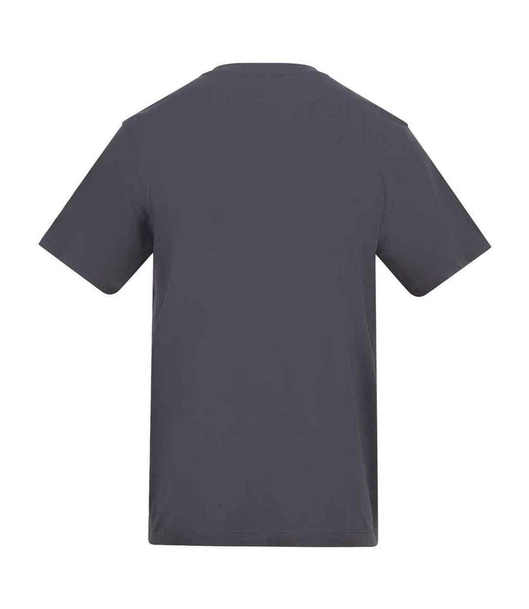T-shirt adulte charbon uni Awdis-2