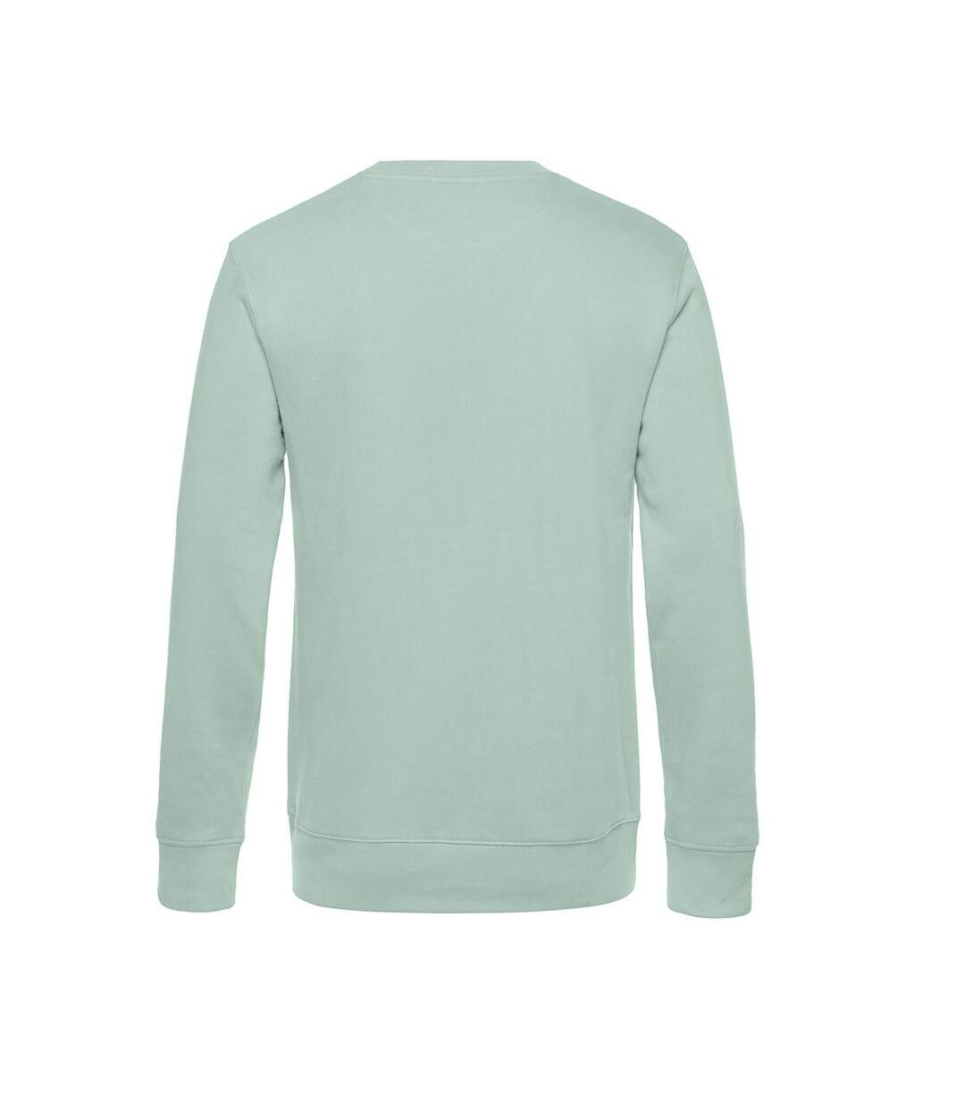 B&C Sweatshirt King pour hommes (Menthe) - UTRW7909