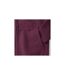 Russell Ladies Premium Authentic Zipped Hoodie (3-Layer Fabric) (Burgundy) - UTBC2731-4