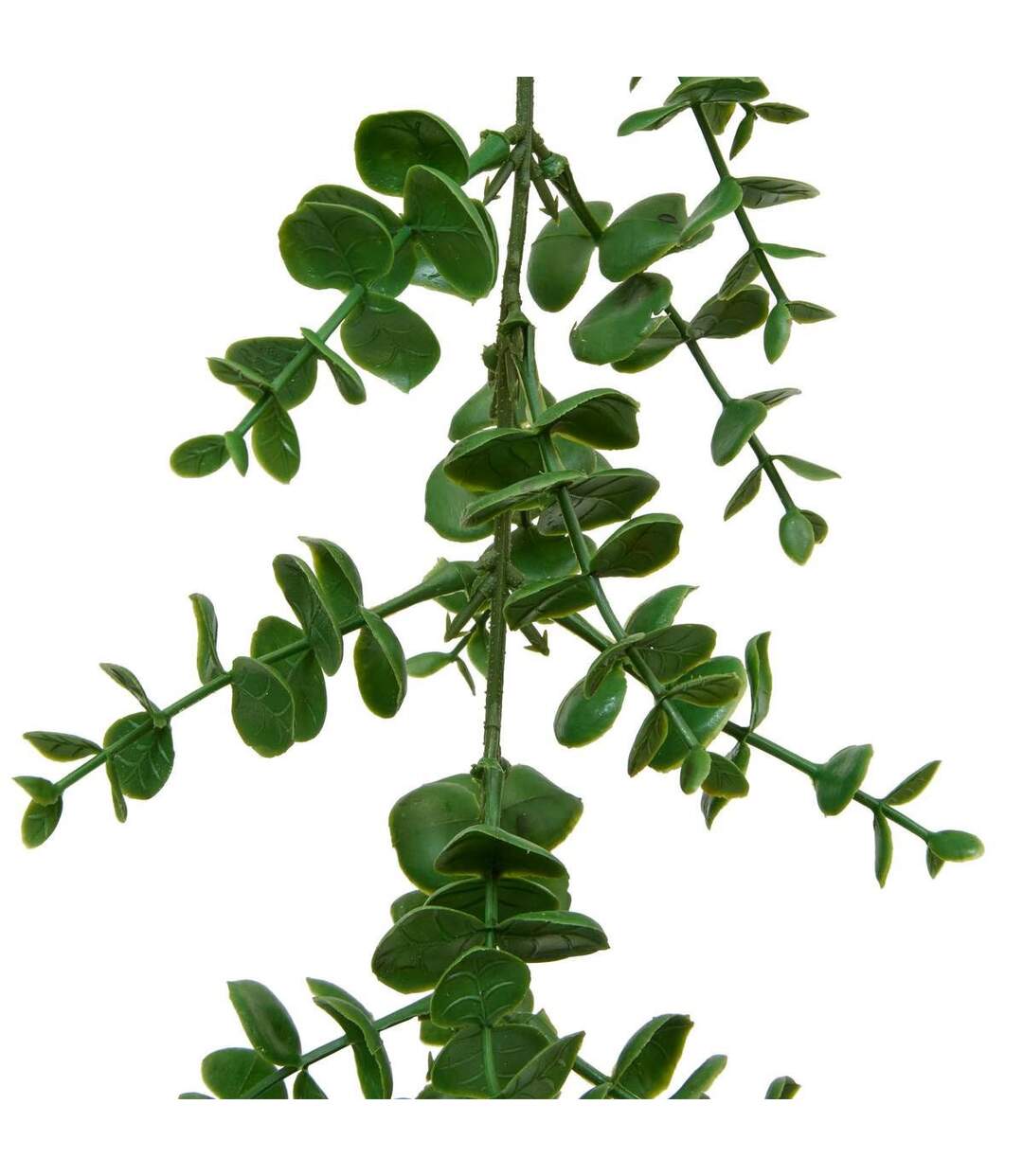 Guirlande d'Eucalyptus Artificiel Walker 170cm Vert-2