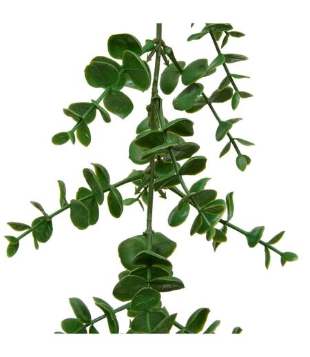 Guirlande d'Eucalyptus Artificiel Walker 170cm Vert