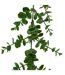 Guirlande d'Eucalyptus Artificiel Walker 170cm Vert-2