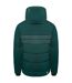 Dare 2B Mens Denote Waterproof Ski Jacket (Forest Green/Fern)