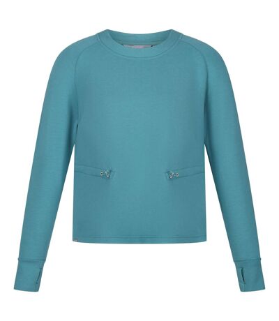 Regatta Womens/Ladies Narine Marl Sweatshirt (Bristol Blue) - UTRG8821