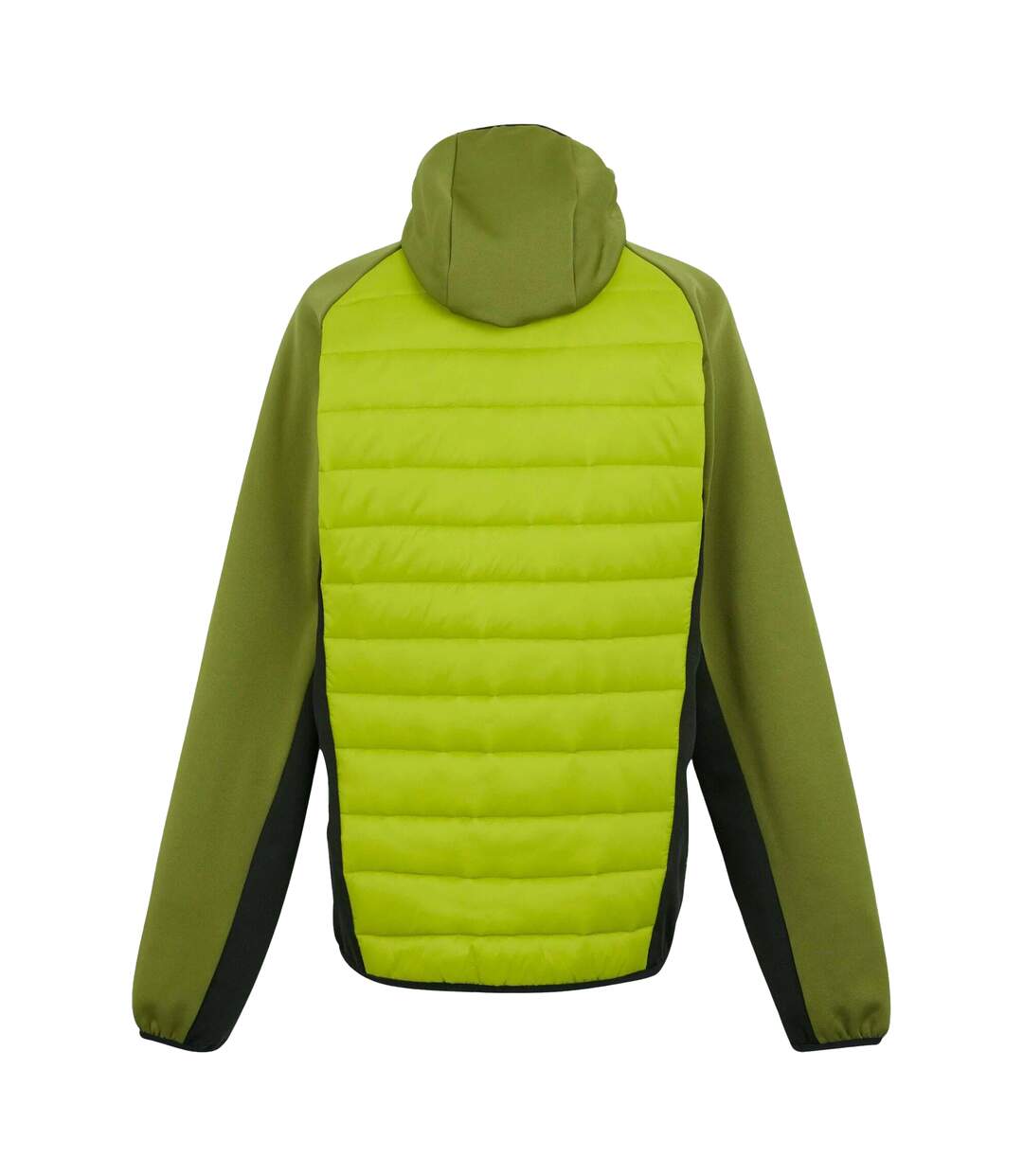 Veste Hybride Andreson Homme Vert Clair Vert Néphrite Regatta-3