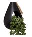 Plante Artificielle Suspendue Tropique 50cm Noir-2
