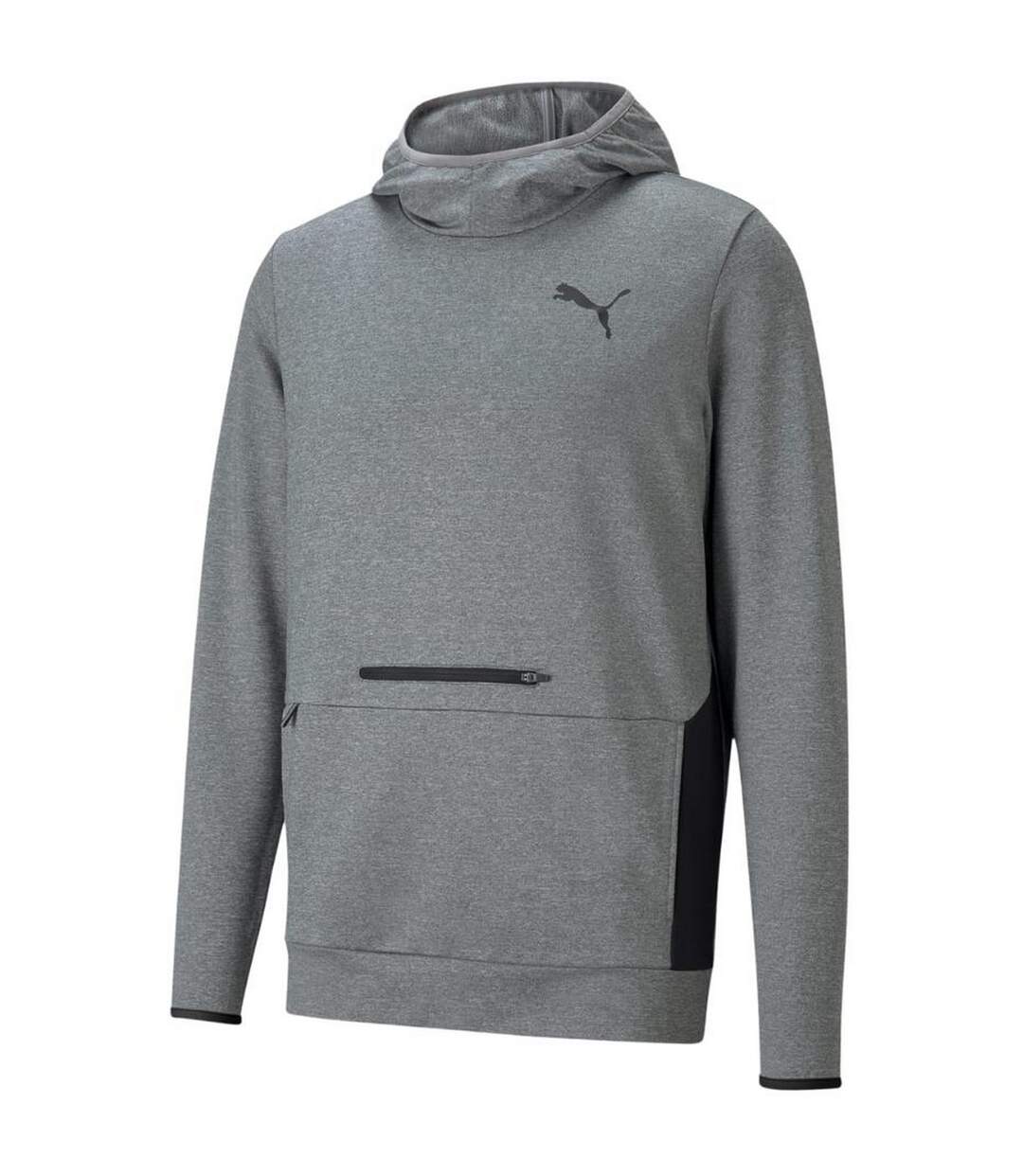 Sweat À Capuche Rtg Homme Gris Argenté Puma-1