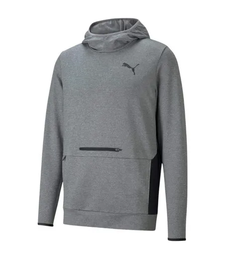 Sweat À Capuche Rtg Homme Gris Argenté Puma