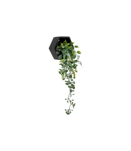 Plante Artificielle à Suspendre Ayame 45cm Noir