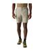 Short Leesville Homme Sable Doré Regatta-2