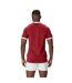 Maillot De Rugby Motif/style British & Irish Lions Homme Rouge Écarlate Canterbury-3