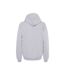 Sweat À Capuche Softstyle Adulte Gris Gildan-2