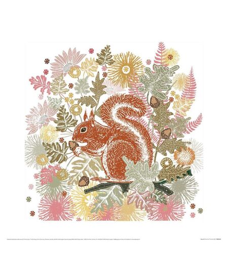 Summer Thornton Woodland Nature Squirrel Print (Multicolored) (40cm x 40cm)