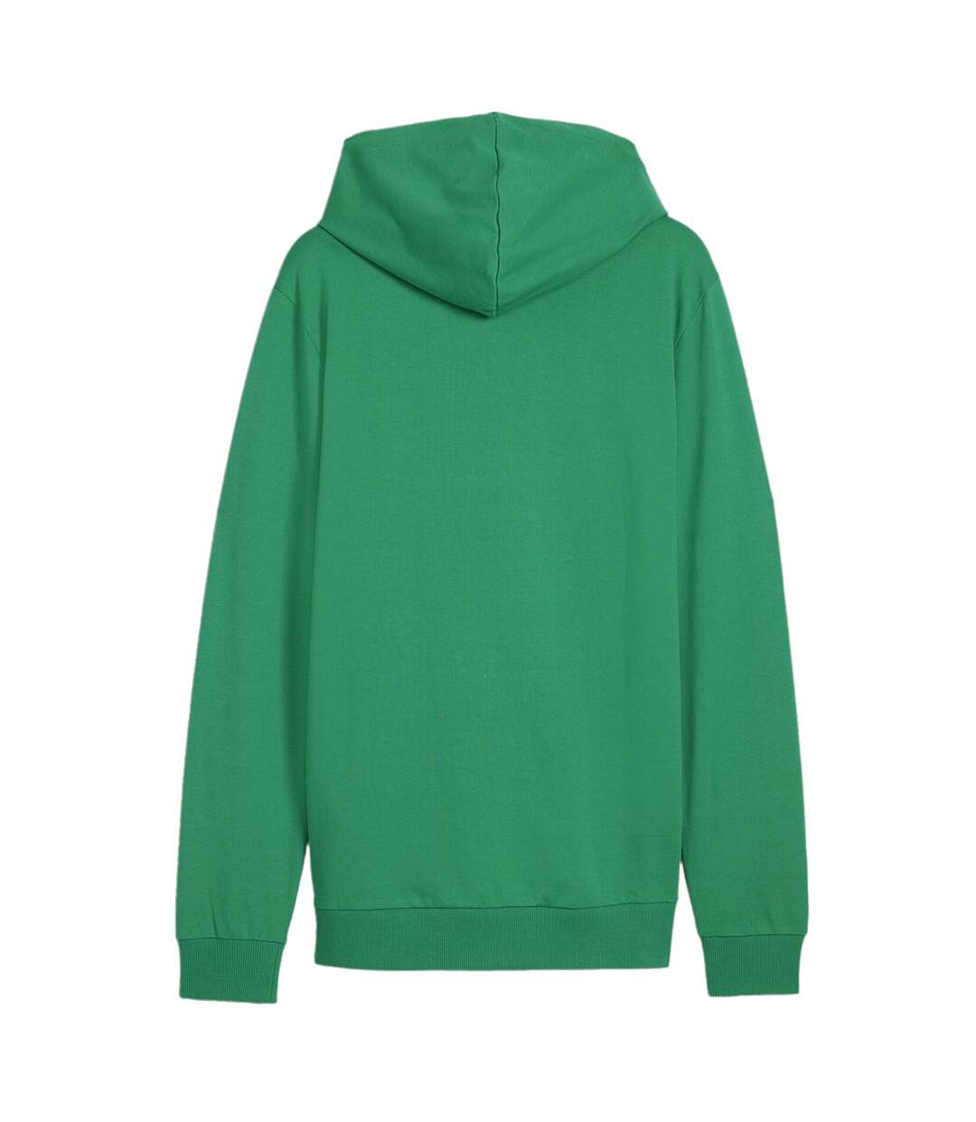 Sweat À Capuche Team Goal Homme Vert Puma-2