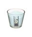 Bougie Parfumée en Verre Nina 190g Fleur de Tiaré-1