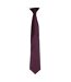 Premier Colours Mens Satin Clip Tie (Aubergine) (One size) - UTRW4407