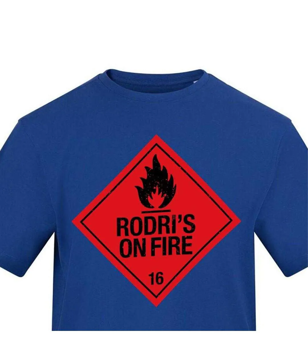 Unisex Adult Rodri Flame T-shirt Blue AWD-3
