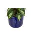 Plante Artificielle en Pot Soleya 30cm Bleu-2