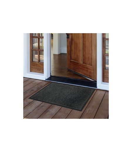 Tapis d'Entrée Antipoussière Telio 50x80cm Gris