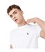 T-shirt Motif/style Logo Sandleford Homme Blanc Jack Wills-3