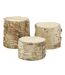 Supports tronc en bouleau (Lot de 3)