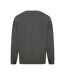Absolute Apparel Mens Sterling Sweat (Charcoal)