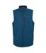 Mens Arana Sleeveless Gilet Black Abbeystone Regatta-1