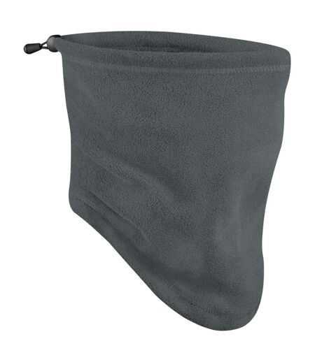 Écharpe Polaire Recyclée Gris Acier Beechfield