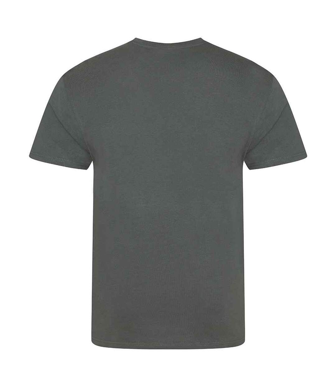 T-shirt cascade homme charbon Awdis-2