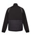 Regatta Mens Steren Hybrid Soft Shell Jacket (Black/Jasmine Green) - UTRG9163