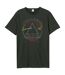 T-shirt tour adulte charbon Amplified