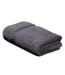 Serviette de toilette ROYAL CRESENT-1