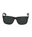 Justin RB41656017155 Sunglasses Men-Women-1