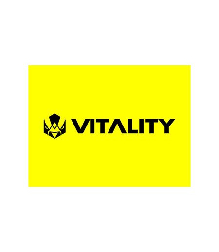Bon cadeau de 59,90 € sur l'e-shop de la Team Vitality et de 20 € sur Valorant - SMARTBOX - Coffret Cadeau Multi-thèmes