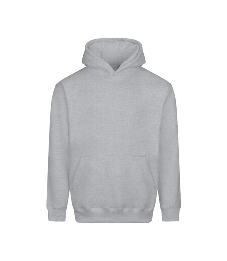 Unisex Adult Vision Heavyweight Hoodie Heather Grey Awdis
