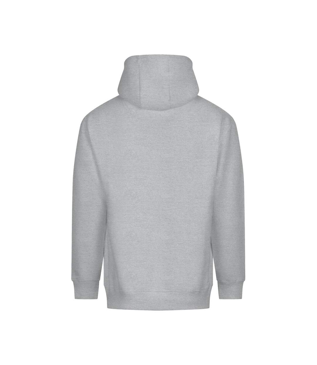 Unisex Adult Vision Heavyweight Hoodie Heather Grey Awdis-2
