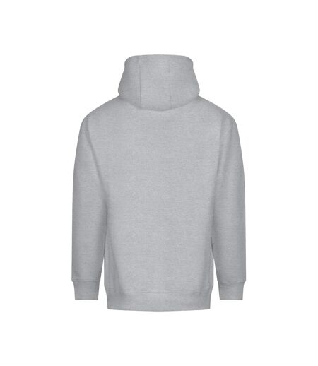 Unisex Adult Vision Heavyweight Hoodie Heather Grey Awdis