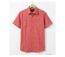 Chemisettes manches courtes Winchester Tubac1 coupe confort en coton Corail-2
