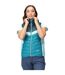 Womens/ladies Harrock Ii Baffled Gilet Gulfstream Reflecting Lake Regatta-1
