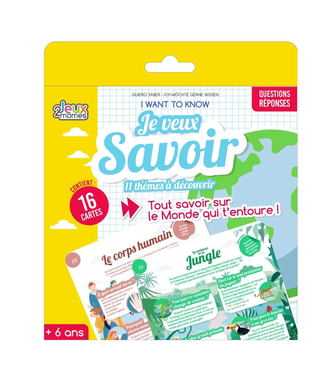 Jeu des Pourquoi 16 Cartes 16cm Multicolore-1