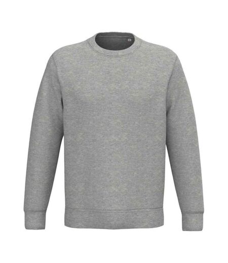 Sweat Adulte Gris Clair Chiné Native Spirit