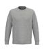 Sweat Adulte Gris Clair Chiné Native Spirit-2