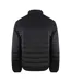 Doudoune Matelassée Motif/style Uni Homme Noir Ice Iceberg-2